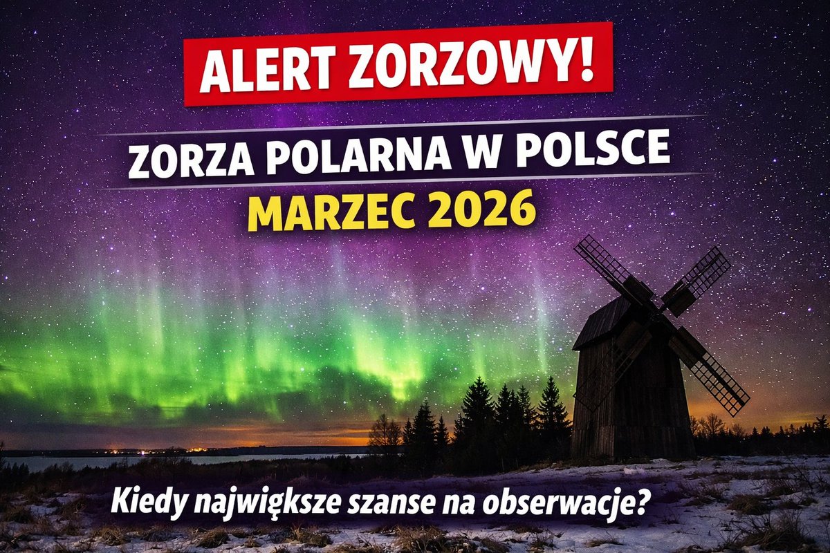 dfeens's tweet photo. 📷 Kto poluje na zorzę ? Zaczęło się wczoraj
Zorza polarna w Polsce w marcu 2026 – kiedy są największe szanse na obserwacje?
https://t.co/aeo3wjIILx
#zorza #zorzapolarna #radarzorzypolarnej #zorzanadpolska https://t.co/5TYnKjpc14