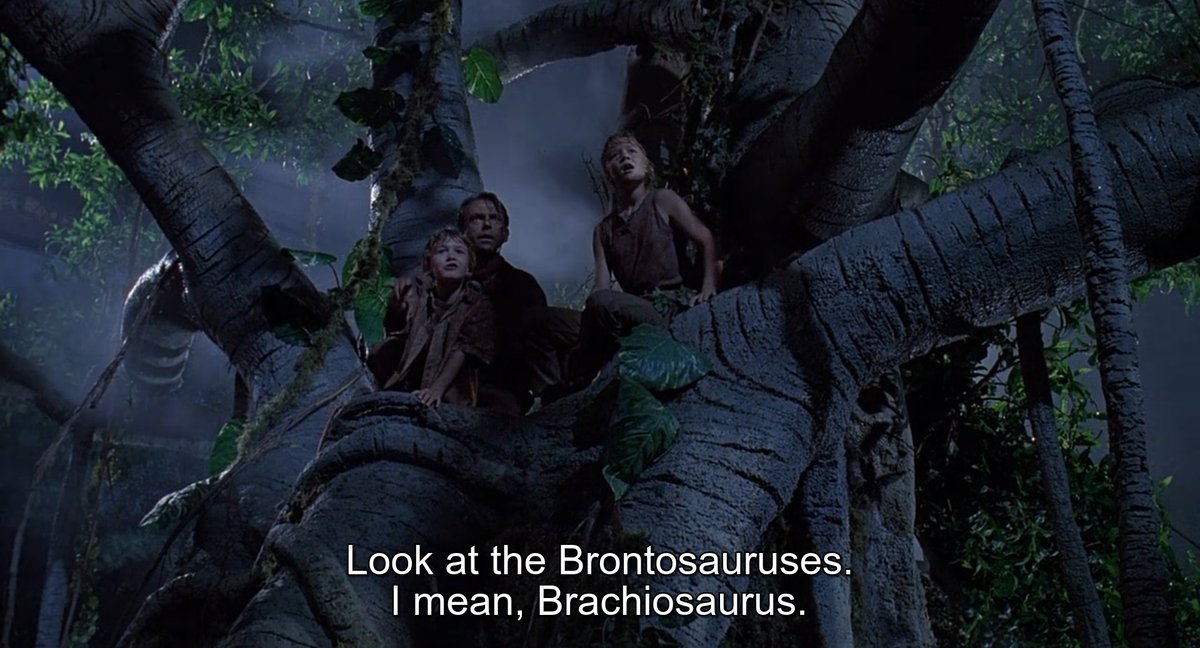 Erin 🦕 tweet media