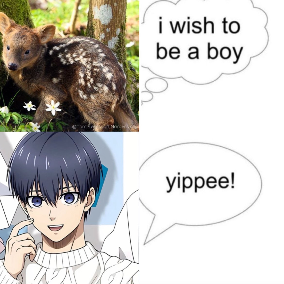 Zitto!! ^_^ tweet media