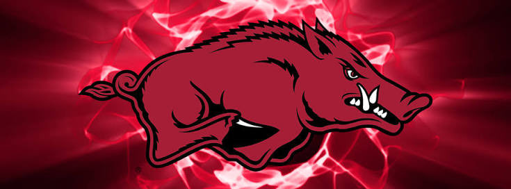 JoJo Accelus tweet media