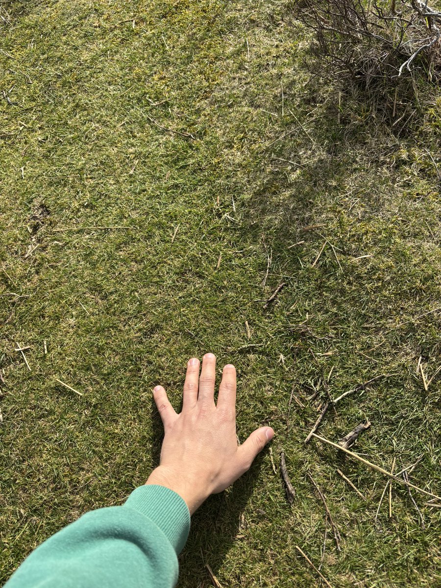 afonsocrg tweet media