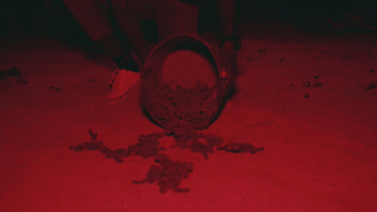 Telemadrid tweet media