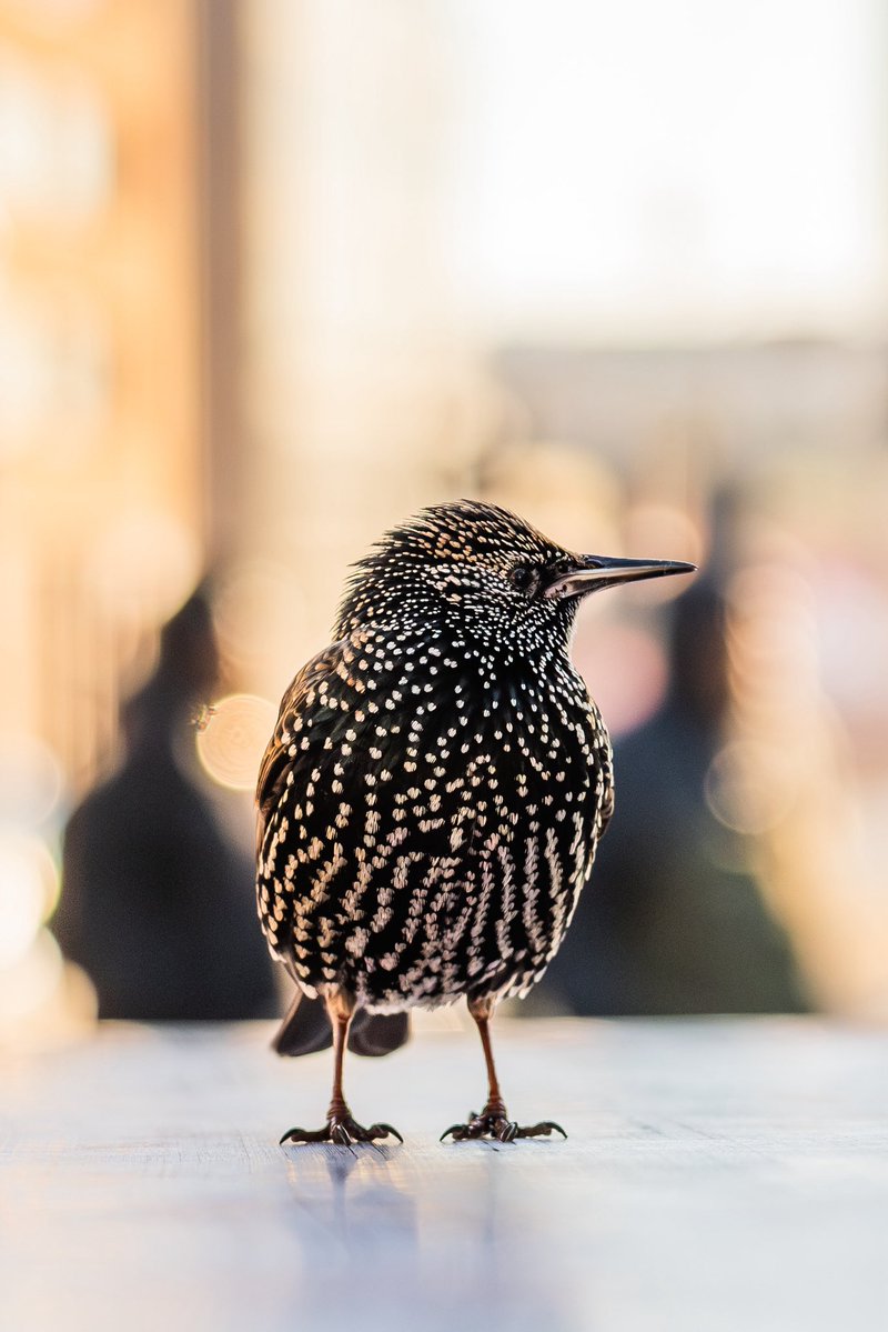 Verity Milligan tweet media