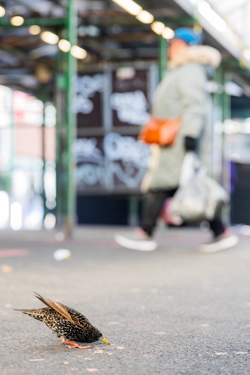 Verity Milligan tweet media