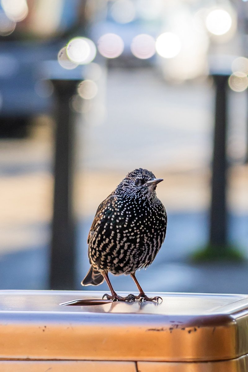 Verity Milligan tweet media