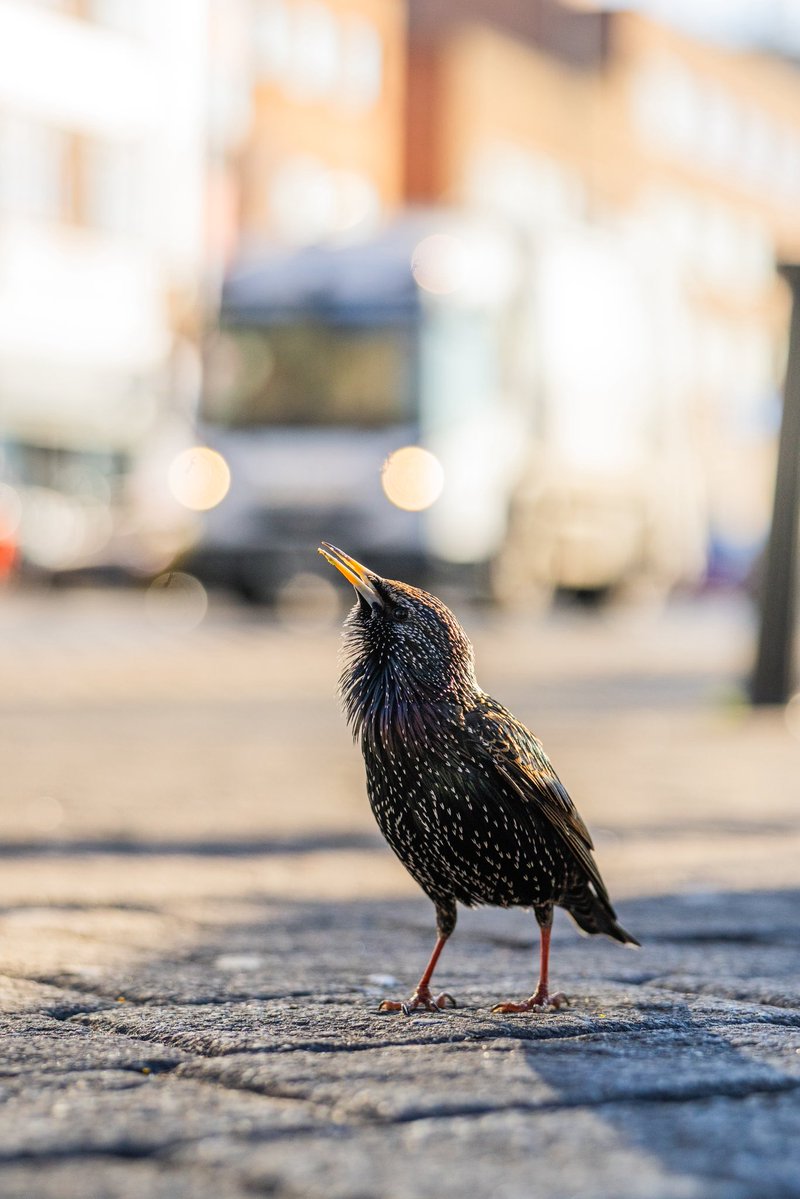 Verity Milligan tweet media