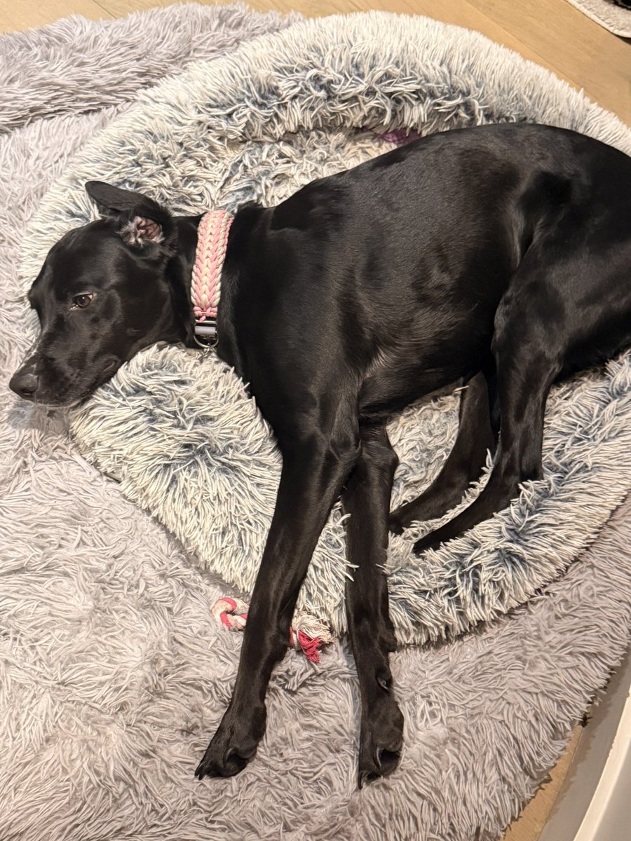 Julien Courbet tweet media