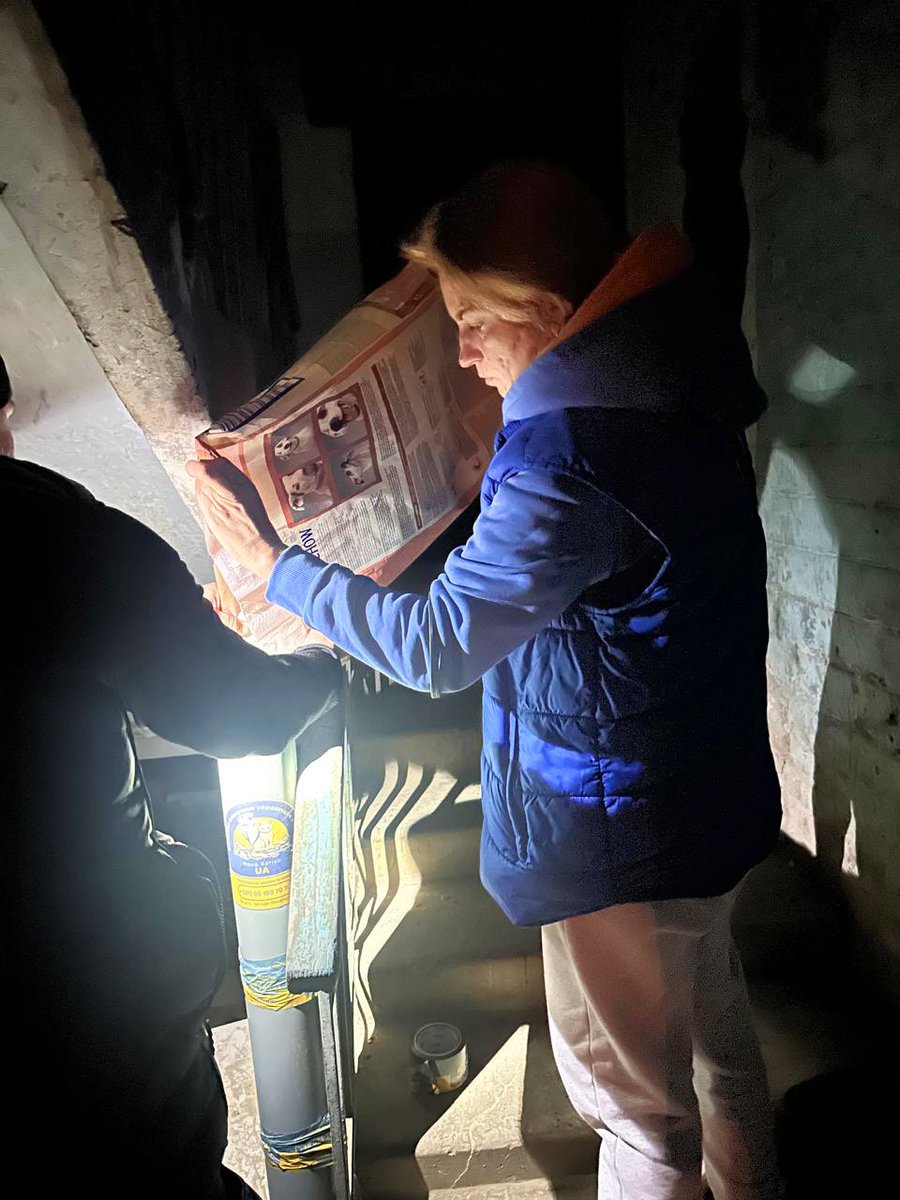 We should talk more about the impact war also has on pets. The Hachiko team went to the recent apartment bombing site in Kharkiv, where 10 people were killed, including kids. We setup a feeding station for the cats left behind. They are waiting for their families to return. 💔