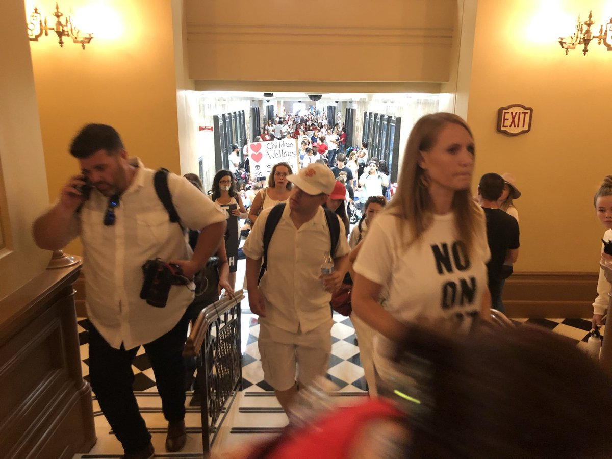 Cernovich tweet media