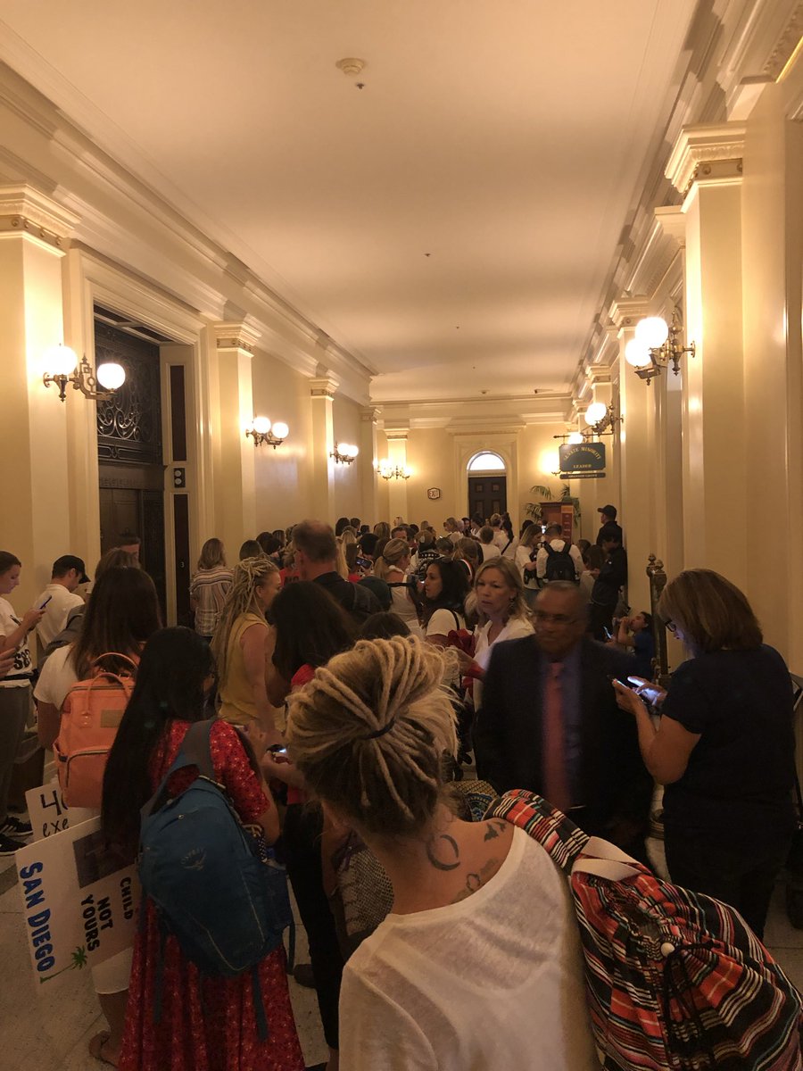 Cernovich tweet media