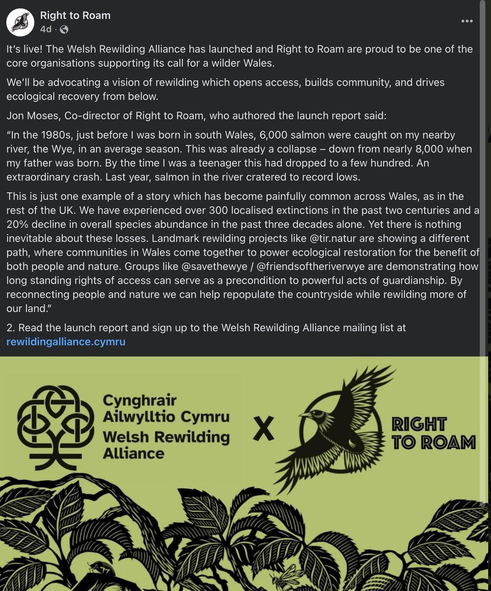 Jac o' the North 🏴󠁧󠁢󠁷󠁬󠁳󠁿 tweet media