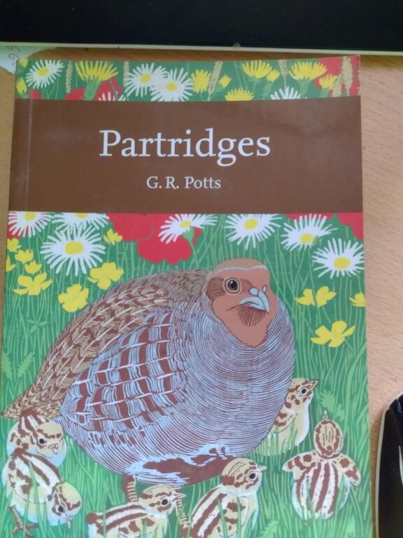 hub_observateur tweet media