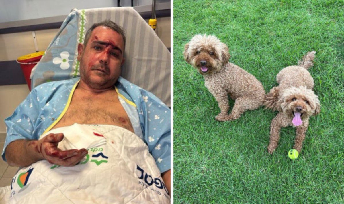 HenMazzig's tweet photo. Ben Avital, 39, was walking his two dogs in Eilat when an Iranian missile struck them. The vets are fighting to save his dog Gili’s life. https://t.co/QvGH5Y4wU6