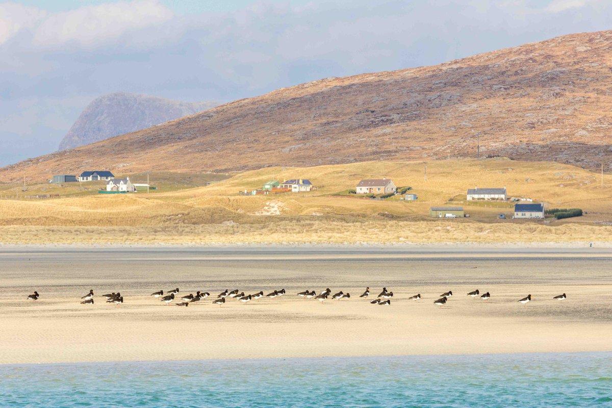 Andrew Locking tweet media