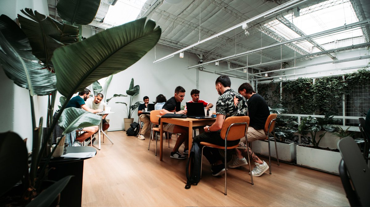 Daniel G. tweet media