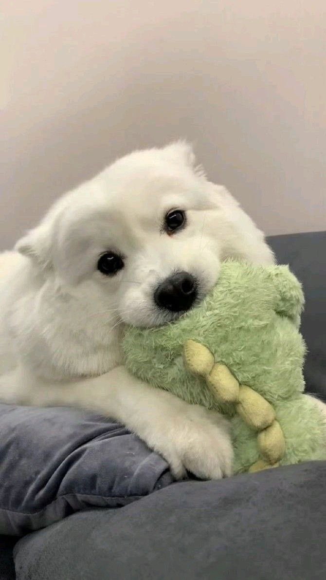 𓇢𓆸 tweet media