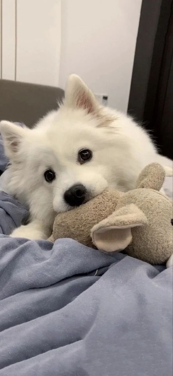 𓇢𓆸 tweet media