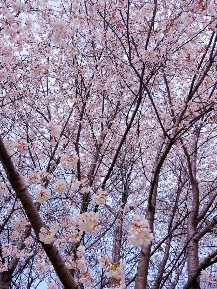 Georgina Rose 🌌 tweet media