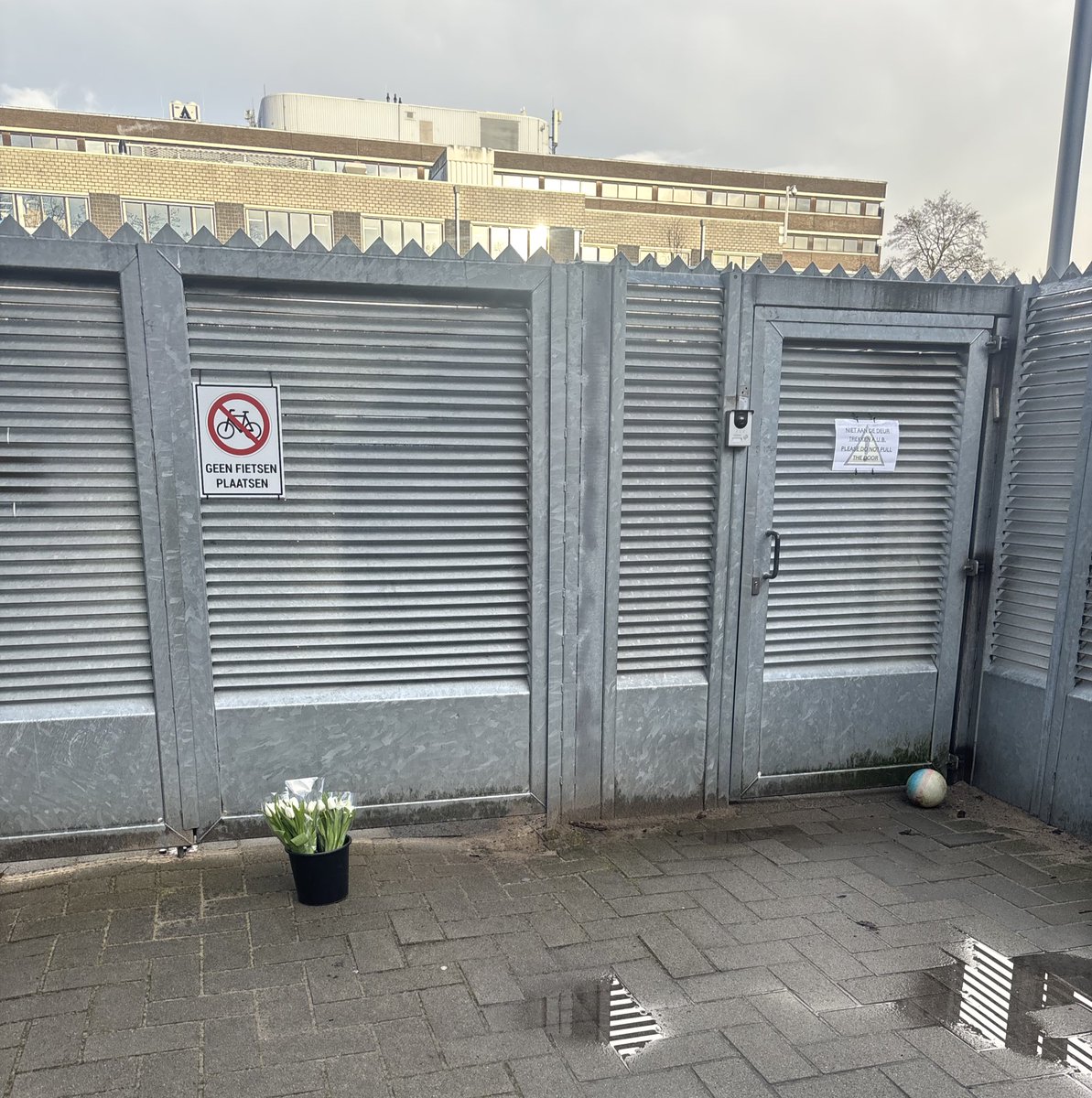 Don Ceder tweet media