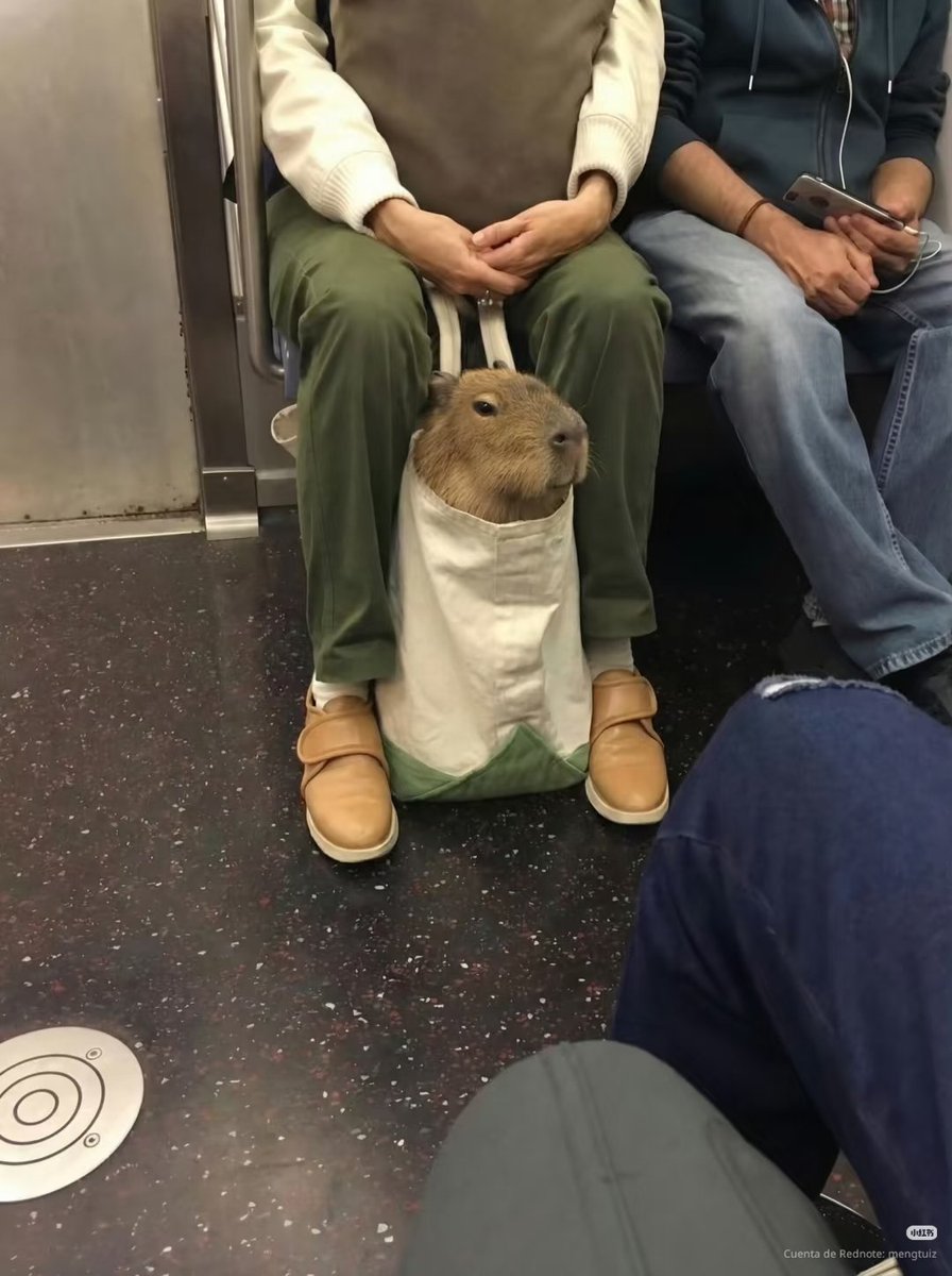 tattoos i would get if i had money (@twtpictures) on Twitter photo 