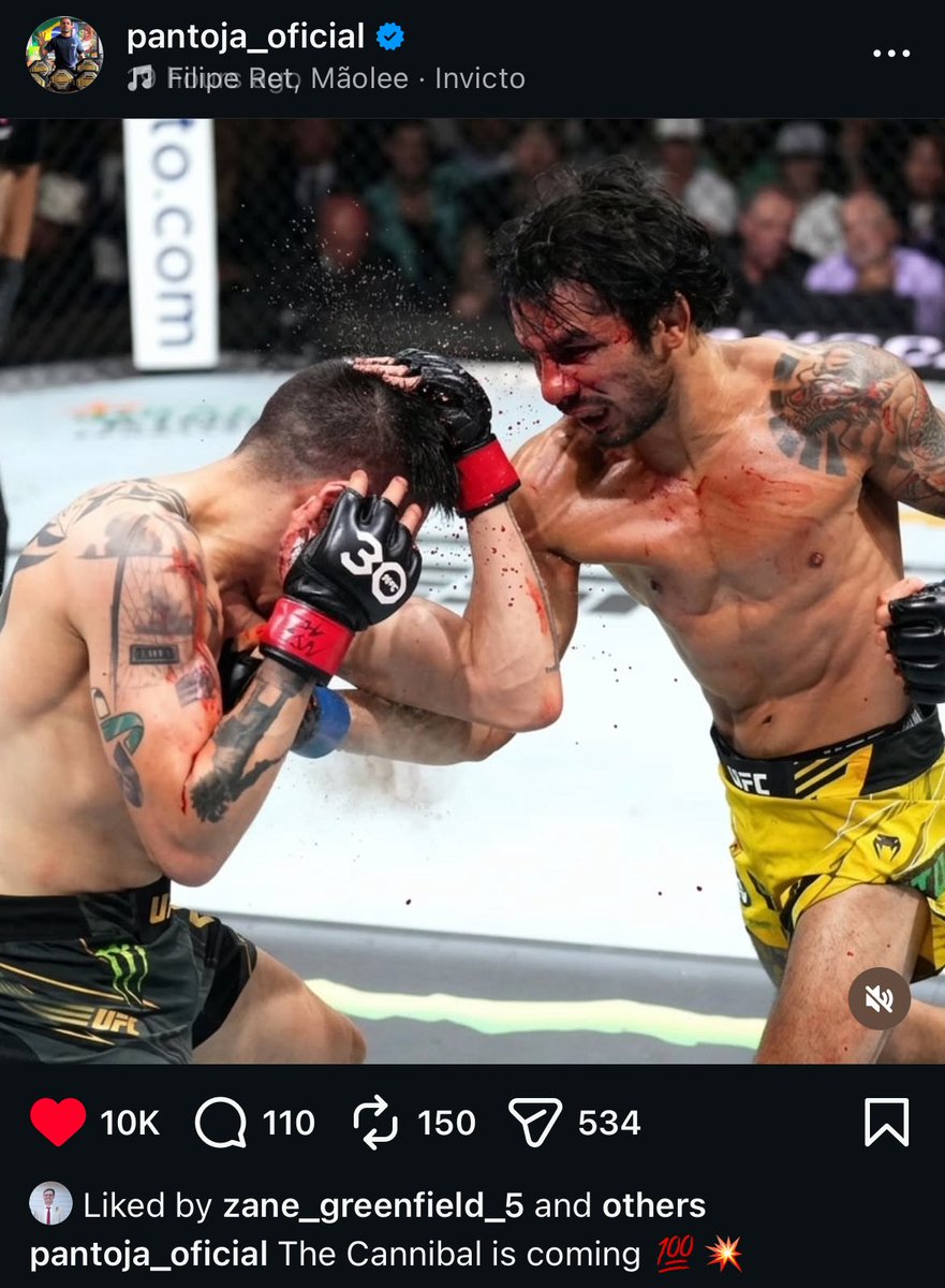 Blind Bear 🐻🕶️ tweet media