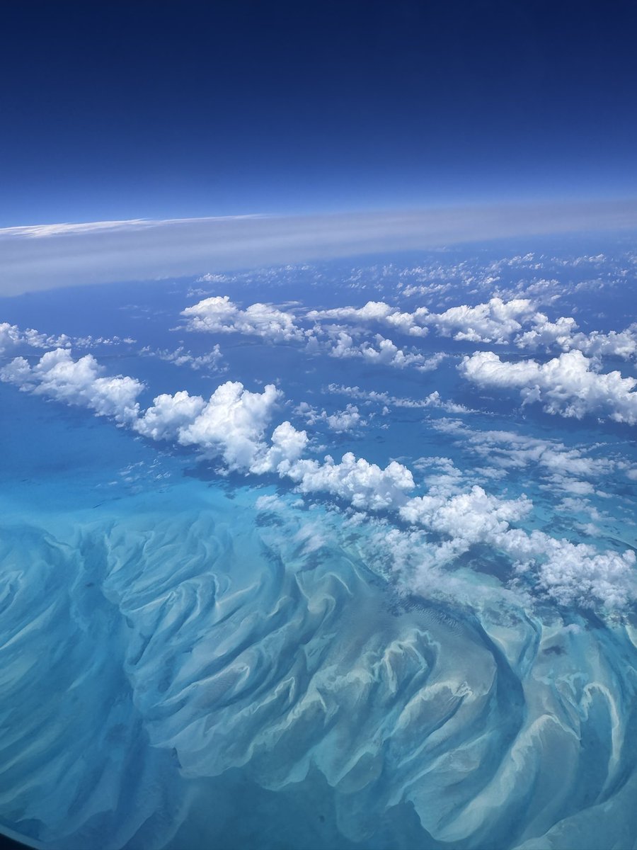 PlumpJack tweet media