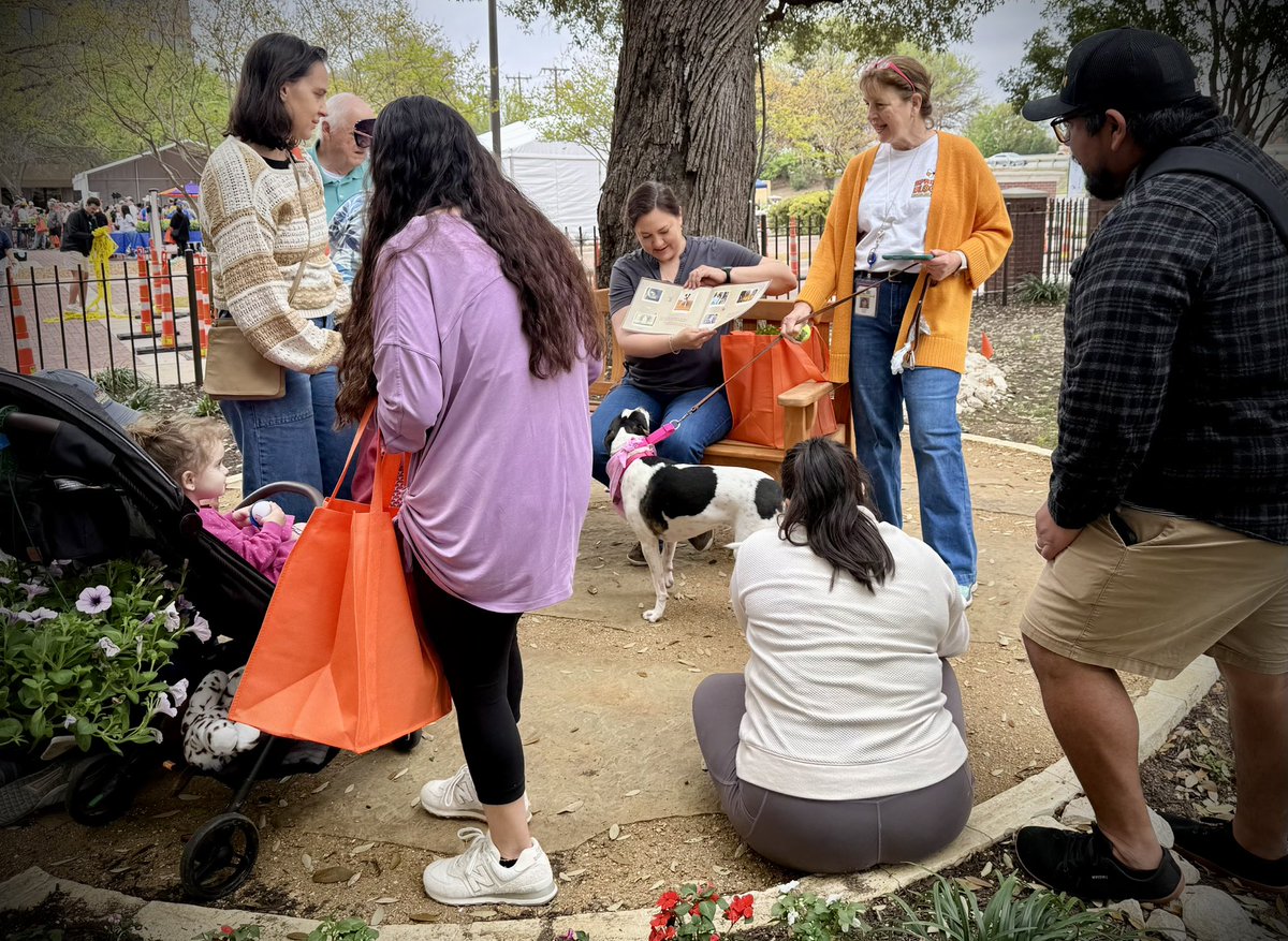 𝐒𝐀𝐖𝐒 🪴🐝 🌺 tweet media