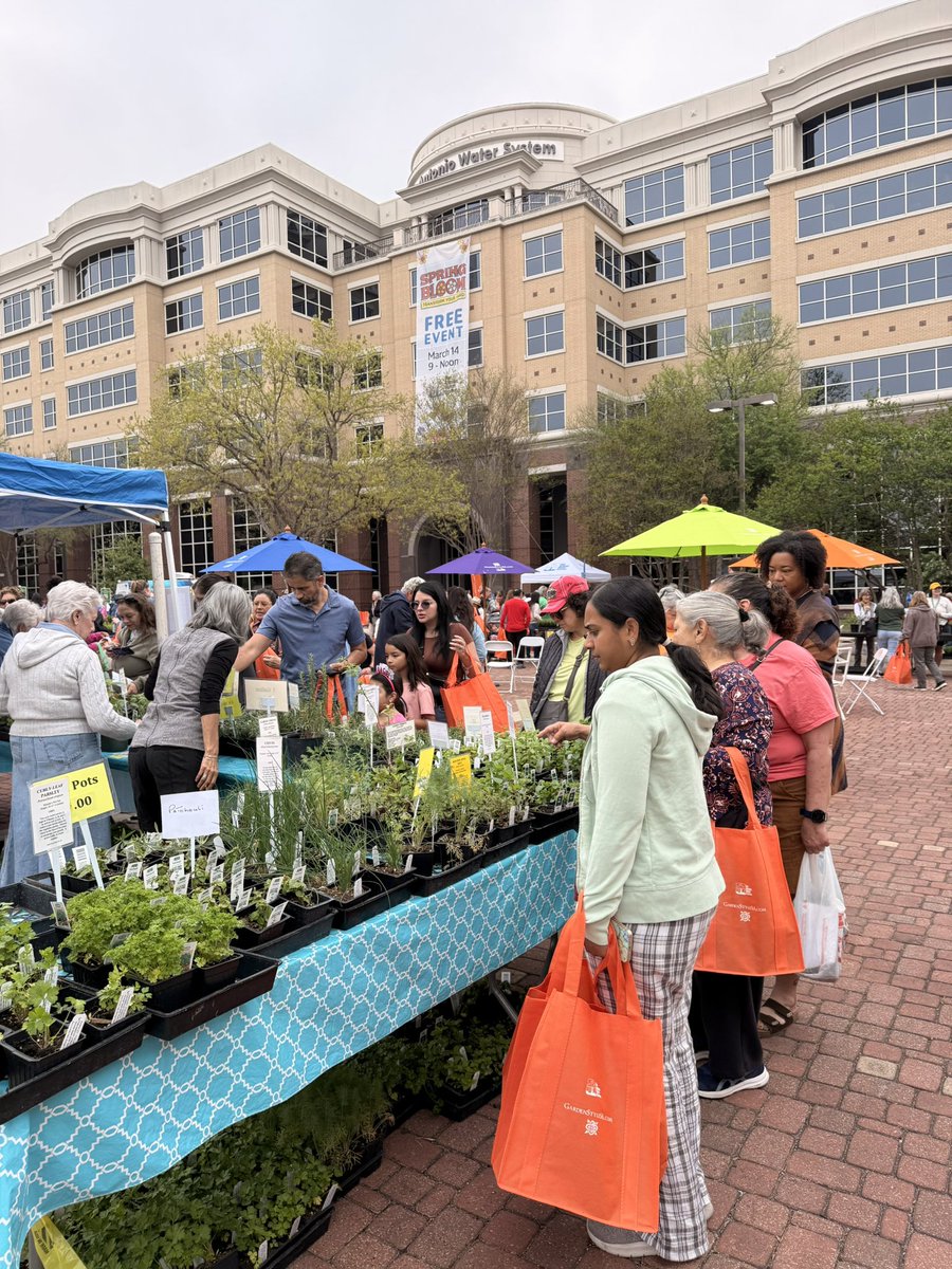 𝐒𝐀𝐖𝐒 🪴🐝 🌺 tweet media