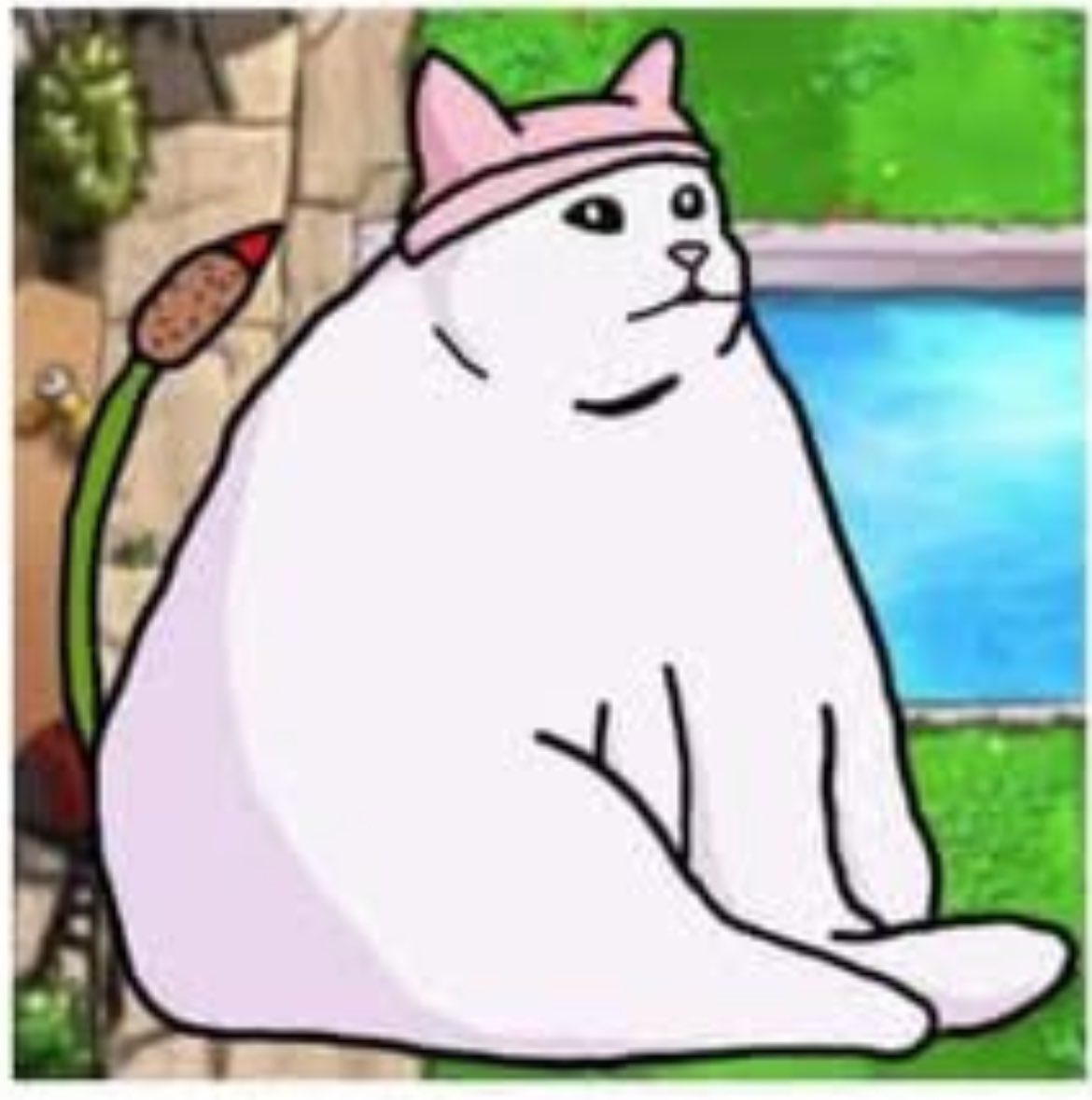 Laura Shigihara (鴫原ローラ ) 🍰🧋 tweet media