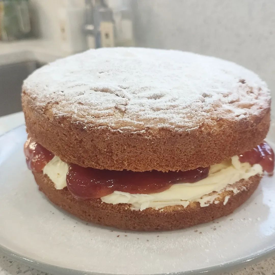 Free Speech Shell tweet media