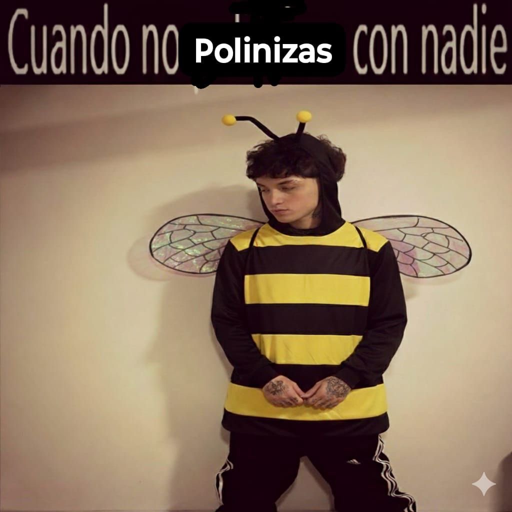 rochi$ ⁺‧₊˚ ཐི⋆ 𓆩𓆪 ⋆ཋྀ ˚₊‧⁺ tweet media