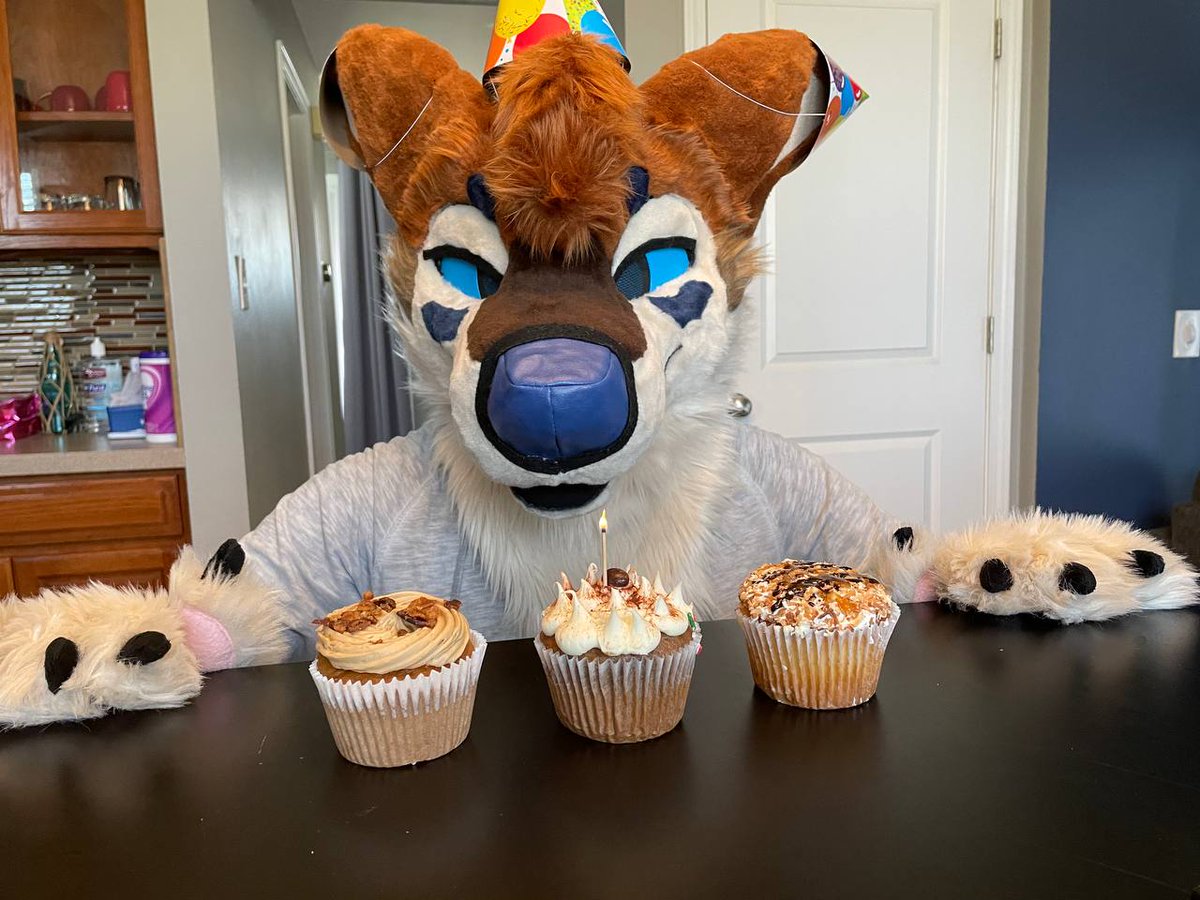 🏜️Desert Dog 🏜️ tweet media