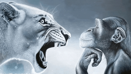 Ale Leisz tweet media