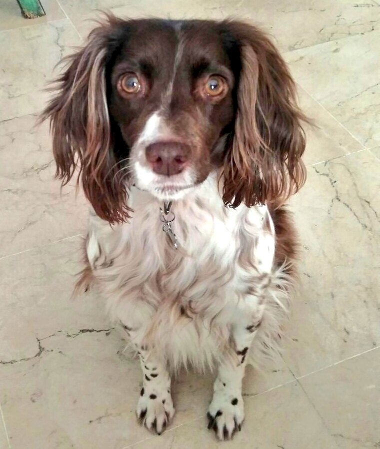 Fran G. Matute tweet media