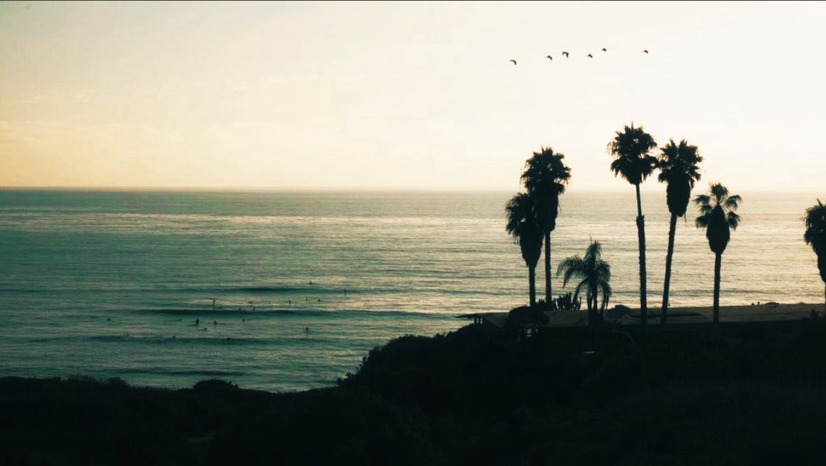 𝒥ae is RED! tweet media