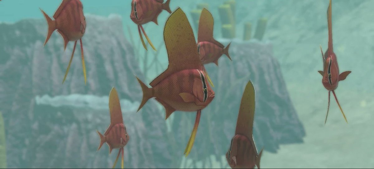 MbvBaryonix's tweet photo. Prehistoric fish are so cool and i don't mean Dunkleosteus or Xiphactinus https://t.co/HWdkcQ7LJO
