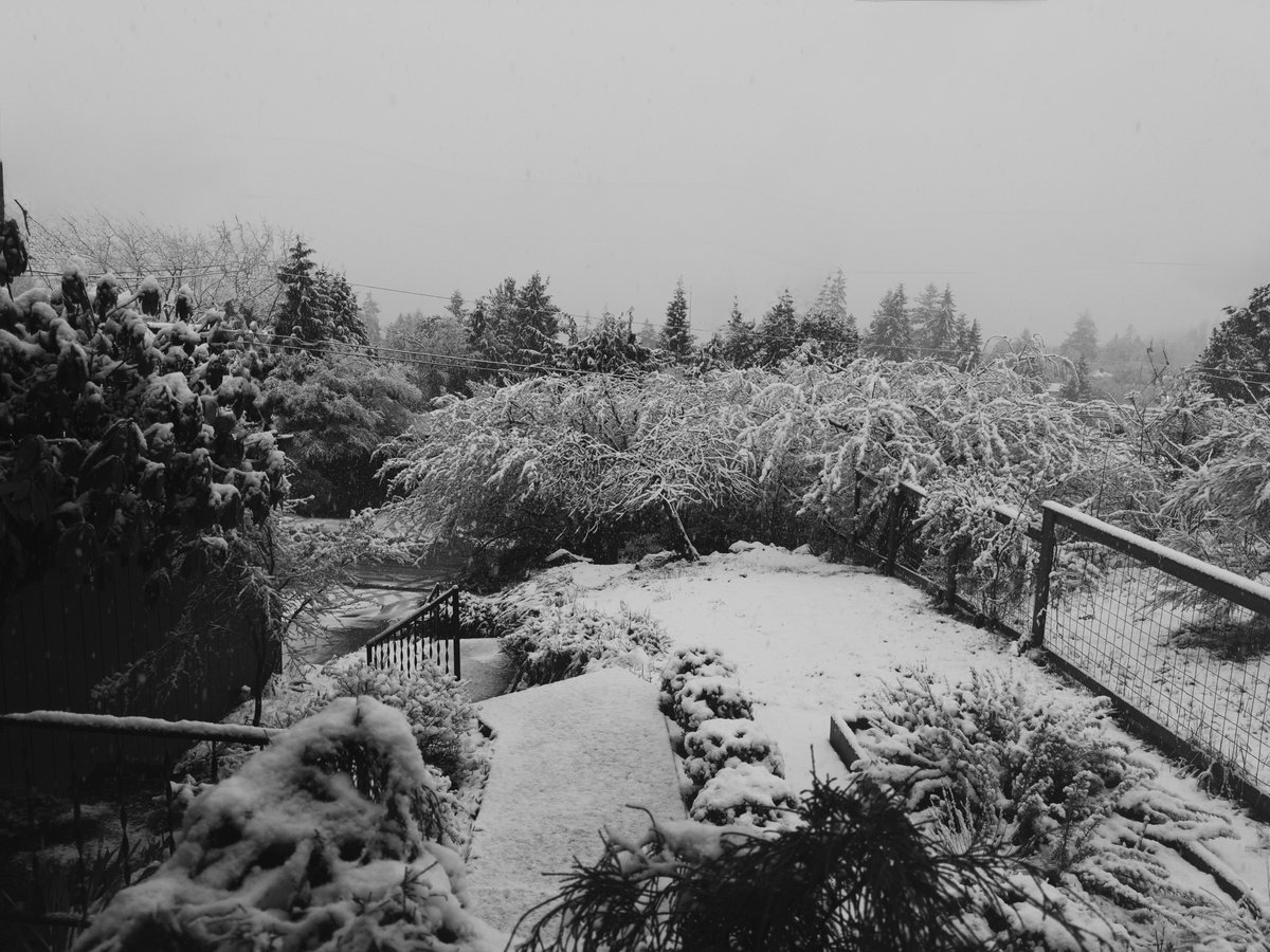 Andy Allen tweet media