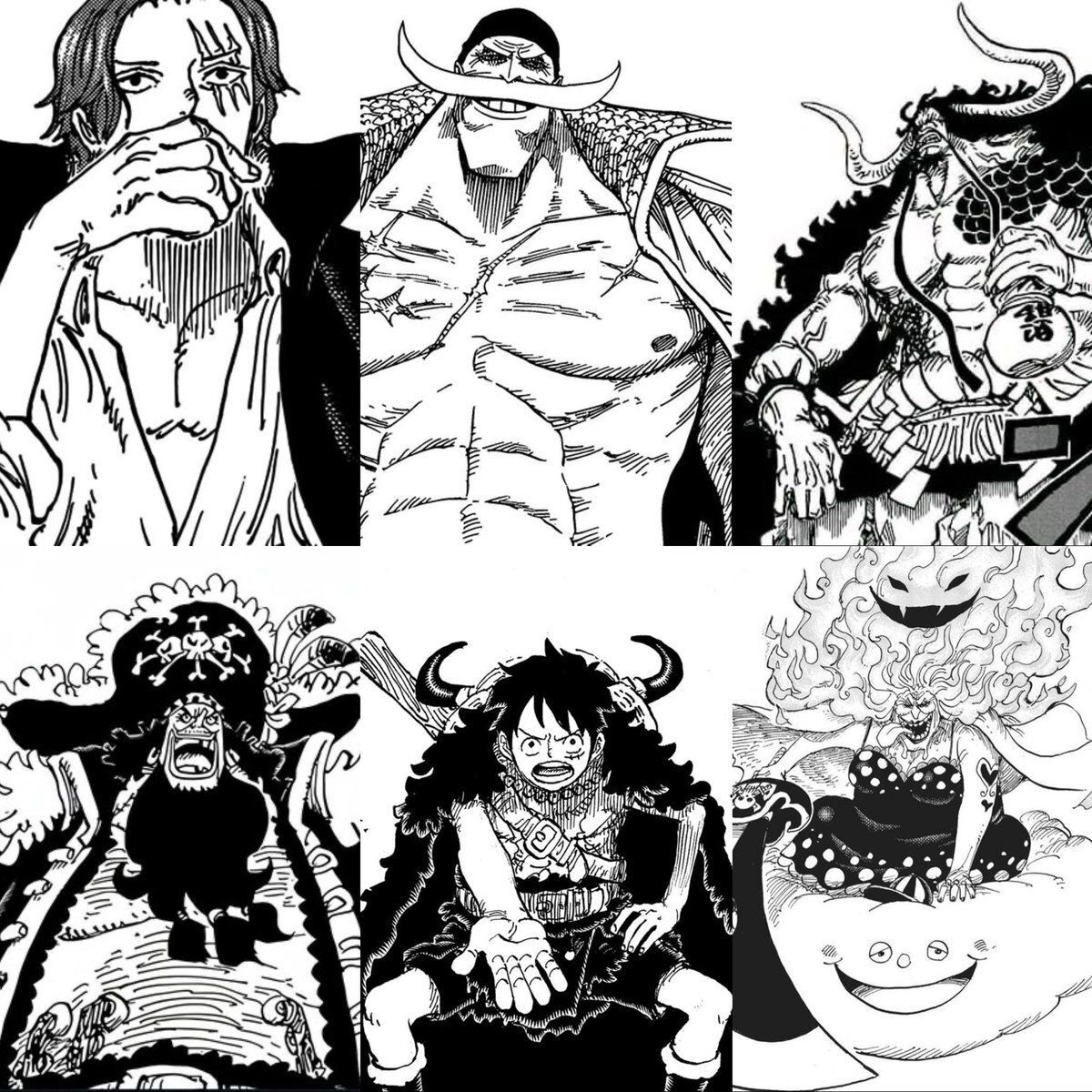 One Piece Daily tweet media