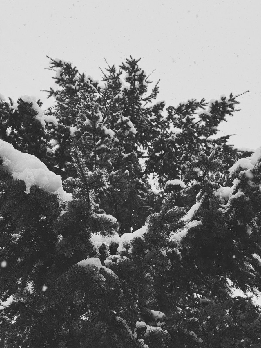 Andy Allen tweet media