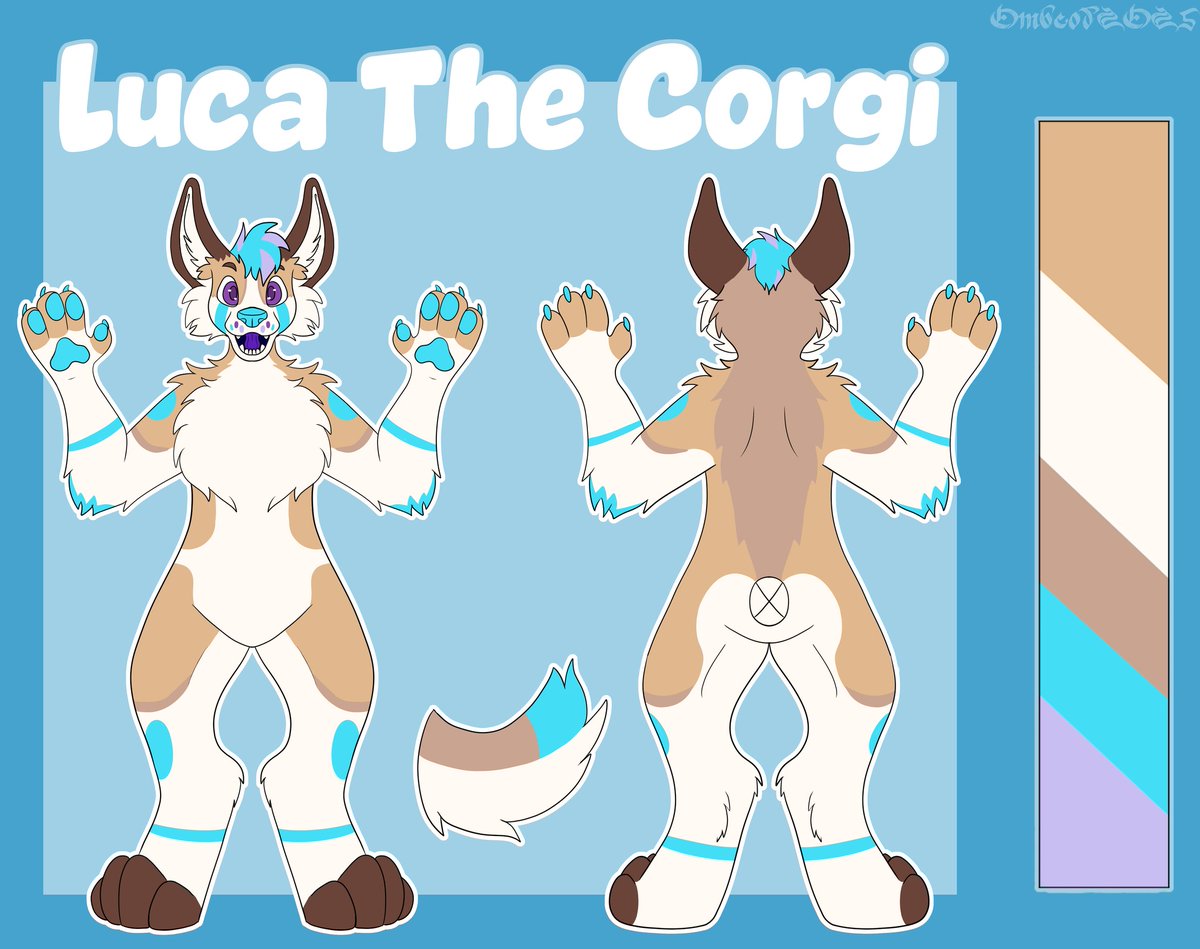 Drooly Corgi 🇳🇱 tweet media