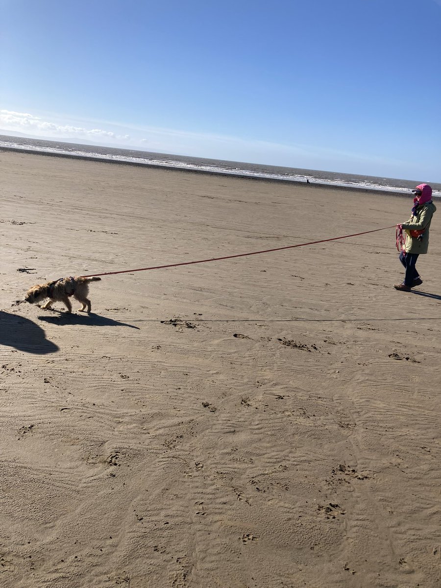 Margot (sisfur of Jakedoganality) b.26/01/2022 tweet media