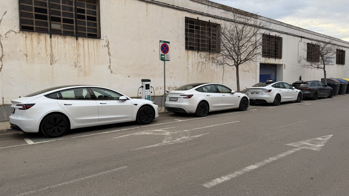 Rodrigo Fernández tweet media