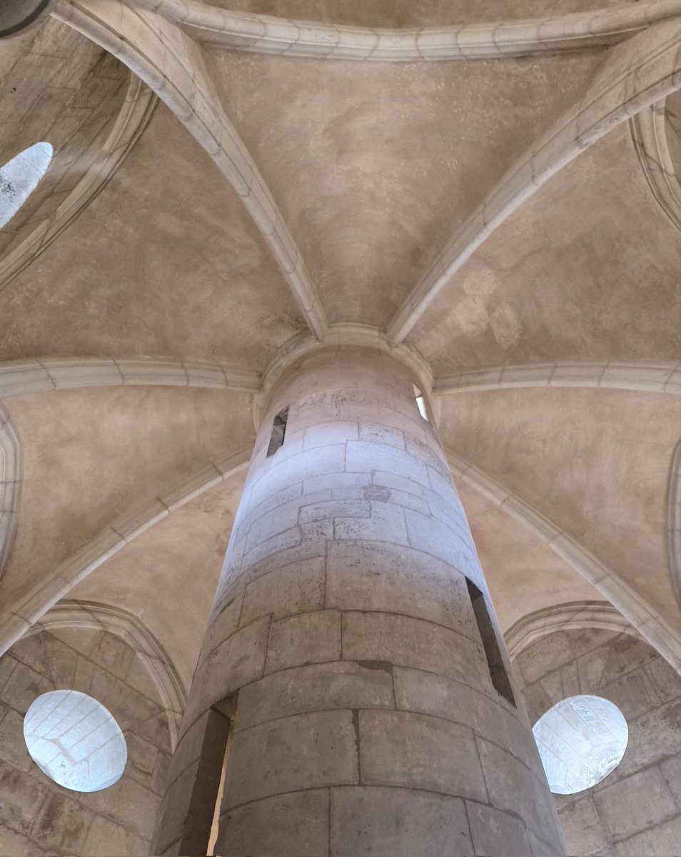 Ana Mª Poveda tweet media