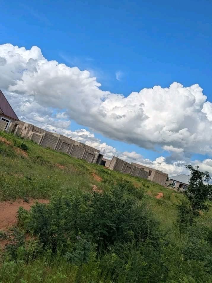 wekeza Dodoma tweet media