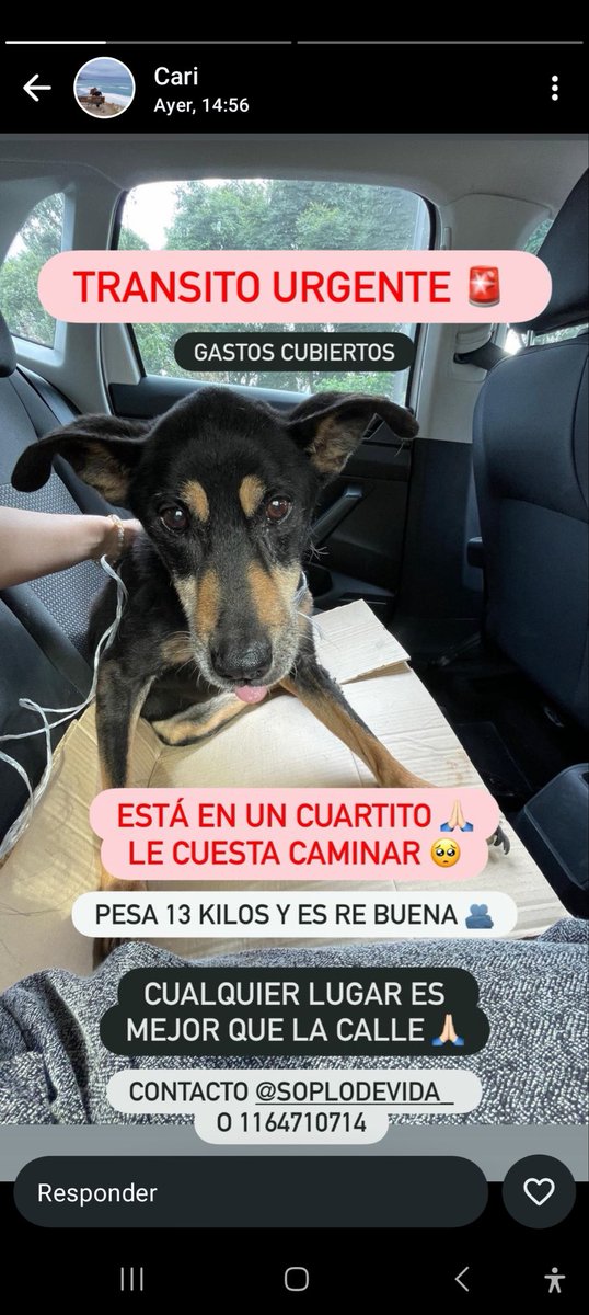 Me pueden ayudar a difundir? RT.