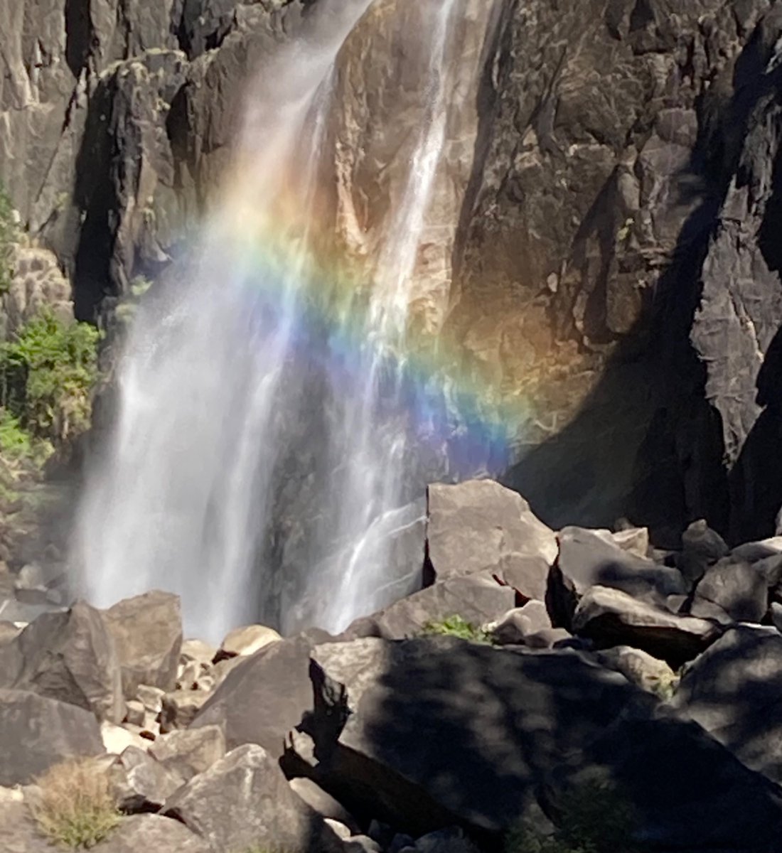 Suzanne Murray tweet media