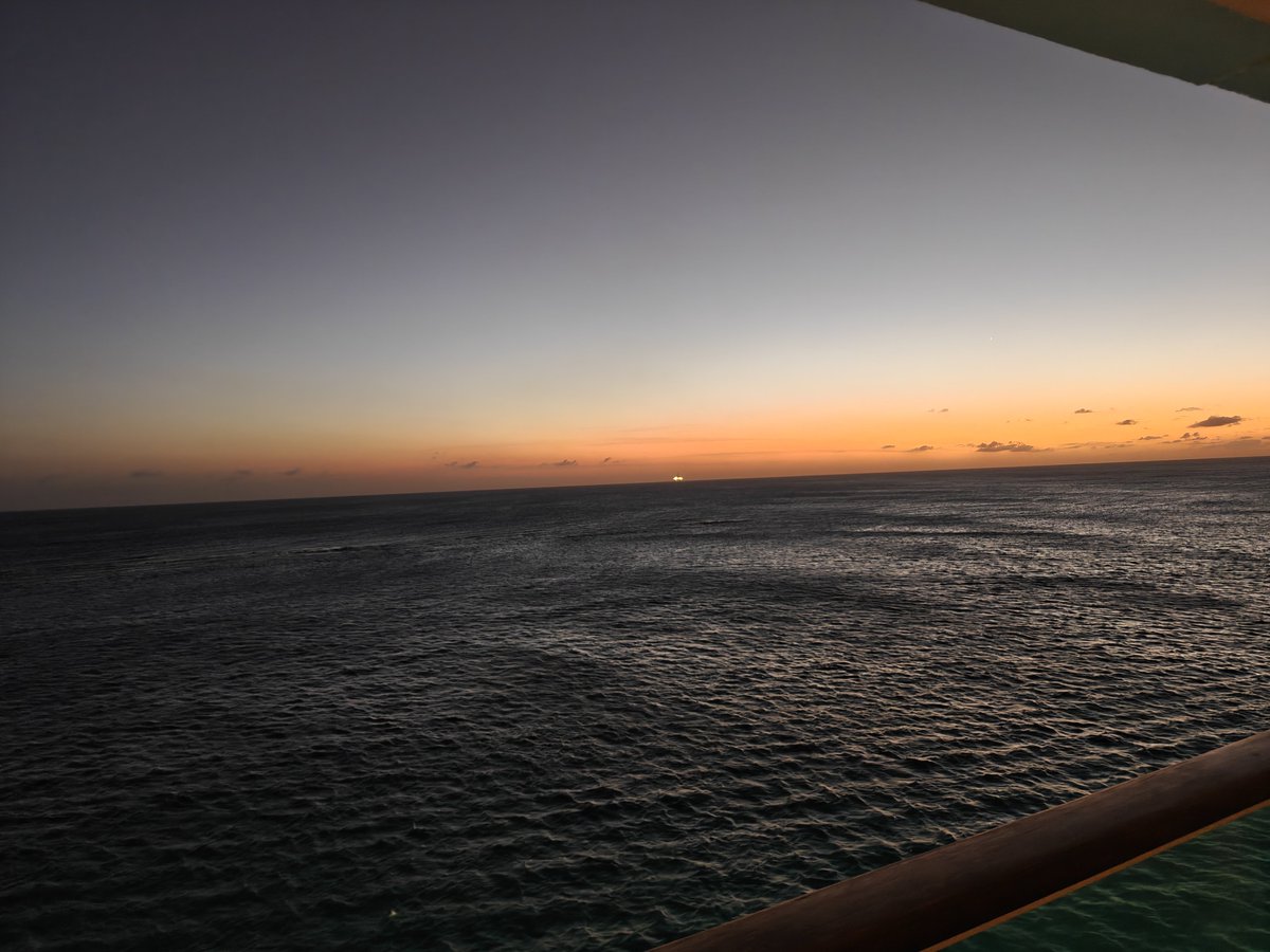 MSexton Photography tweet media