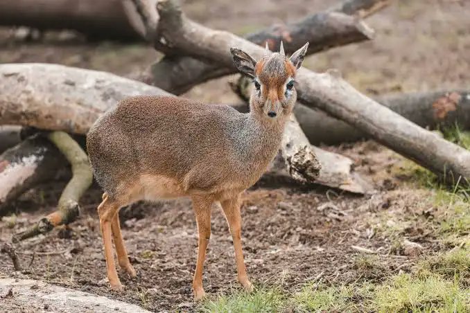 Aster 🌐 CHARIN CEO👀 tweet media