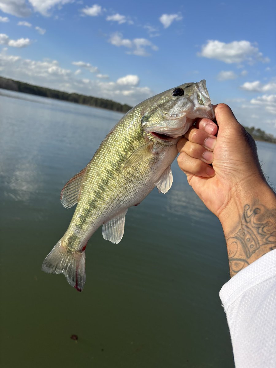 Damani Neal tweet media