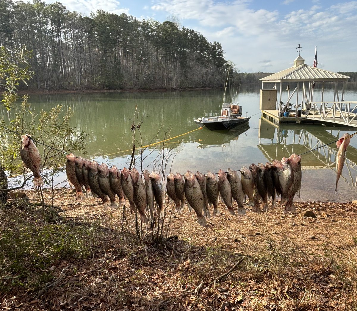 Damani Neal tweet media